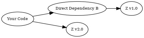 digraph {
    rankdir="LR";
    node [fontsize=10]

    yc [label="Your Code"]
    db [label="Direct Dependency B"]
    dtz1 [label="Z v1.0"]
    dtz2 [label="Z v2.0"]

    yc -> db -> dtz1;
    yc -> dtz2;
}